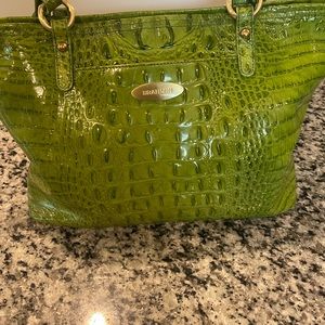 Brahmin Medium Alden Pistachio
